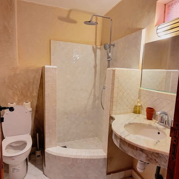 The Ibn Sina Room (The Healer) gallery